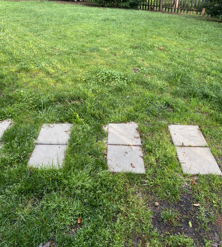 D0BD3DDE-12E3-4C84-81F8-AA196A6D17ED