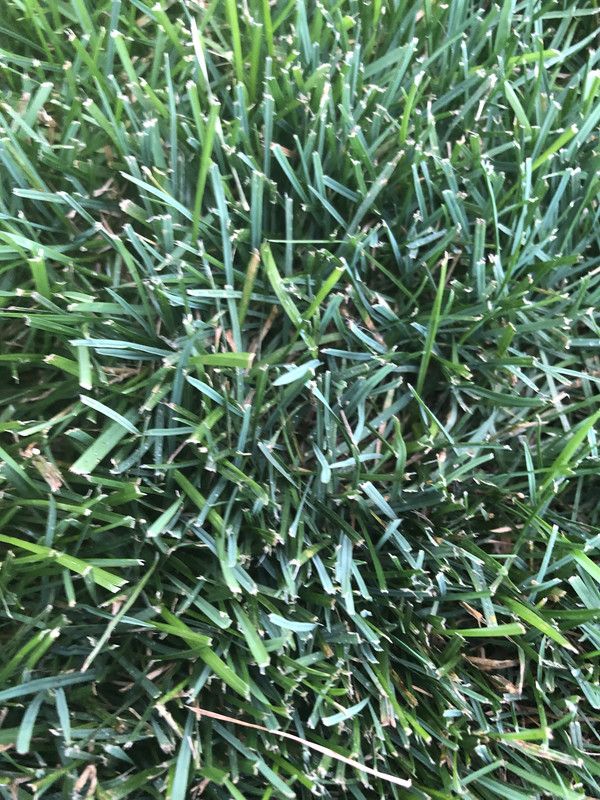 C5FA457F-A36D-47FA-922D-C3C86326D54C