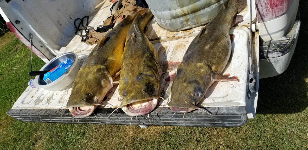 ABB3FA29-0D0D-41A0-A280-107E92613456