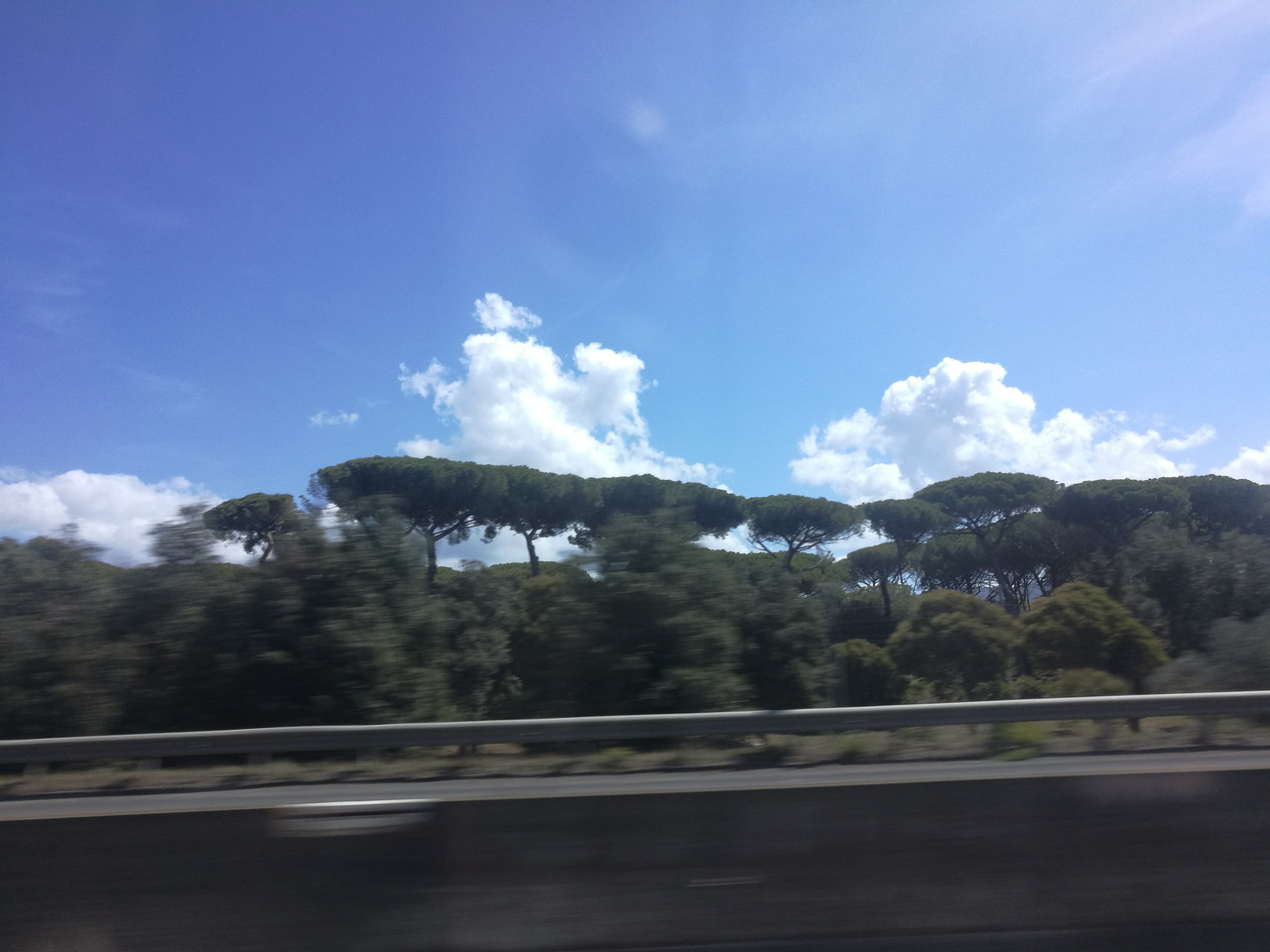 IMG 20230901 125252