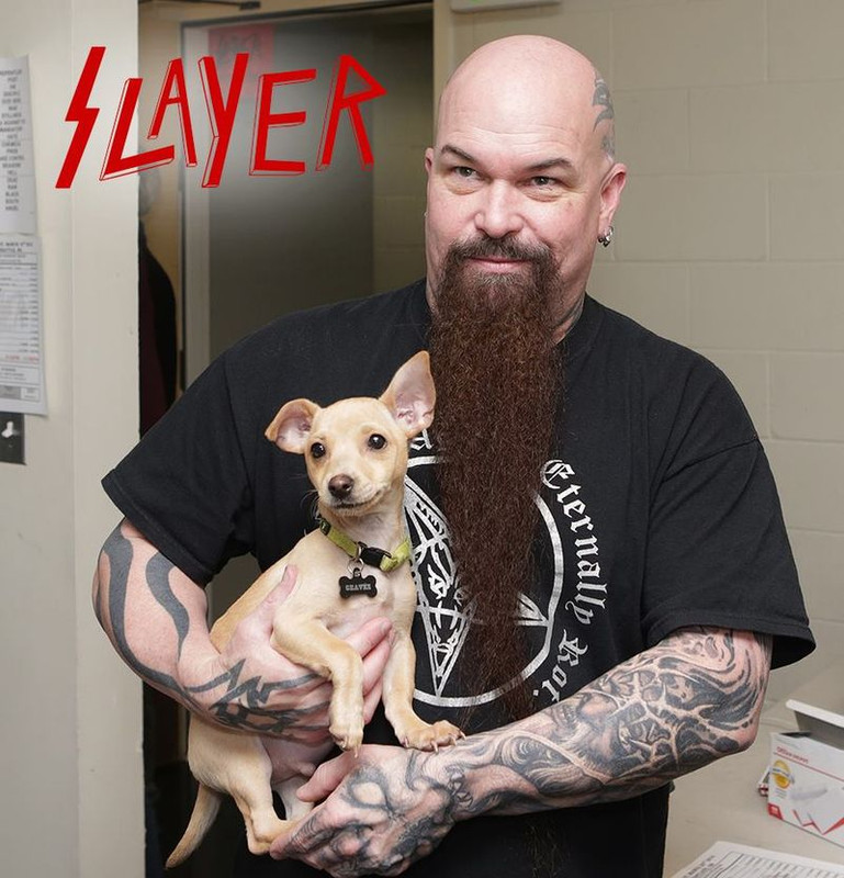 slayer-kuscheln-welpen-02