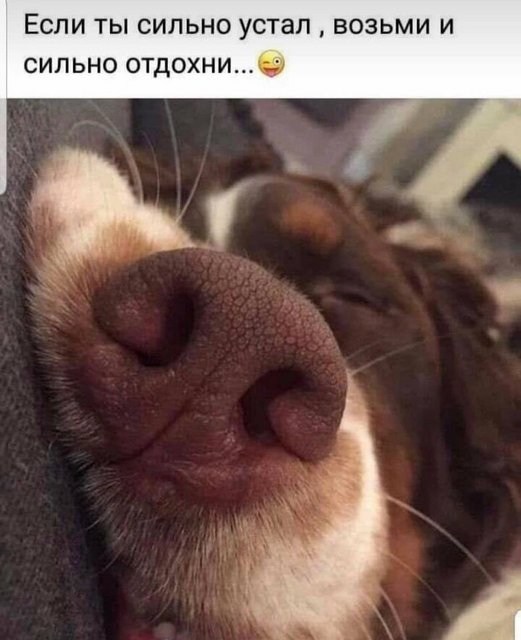 https://i.postimg.cc/8CNtdC5q/243086440-4142213232571229-295838620201726819-n.jpg