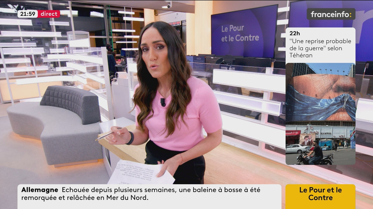 Le Pour et le Contre (Franceinfo) 2026 05 02 20 54 55 ts snapshot 00 06 31 750