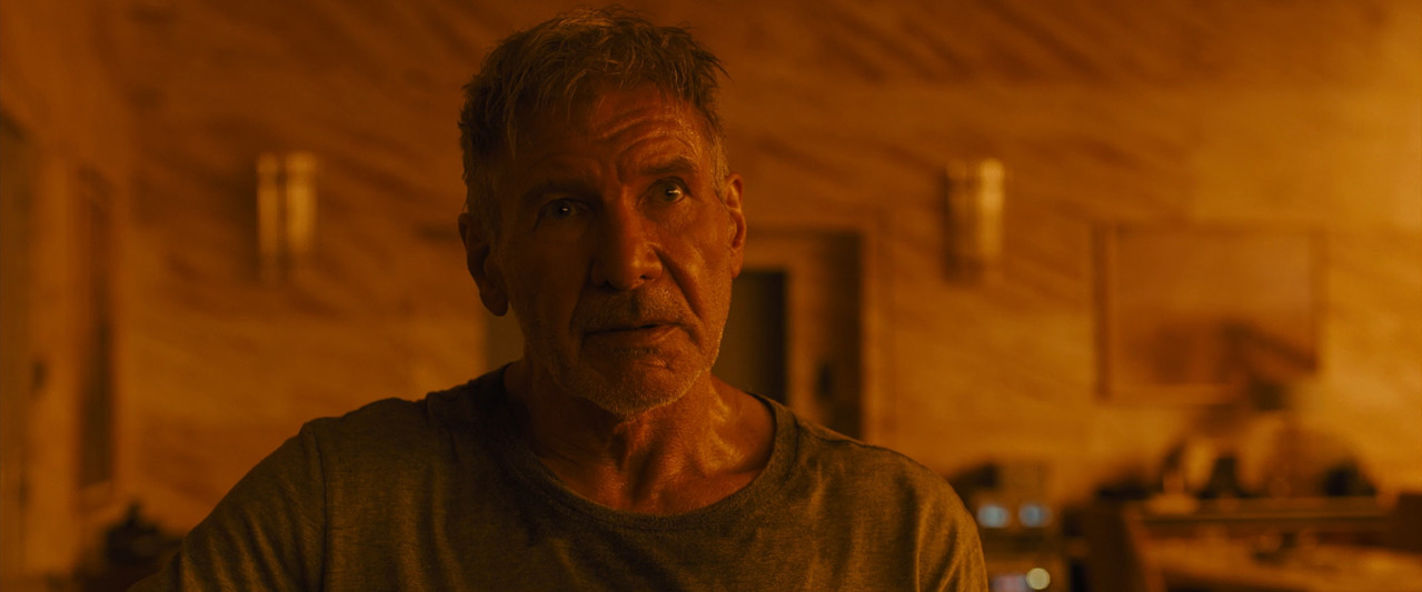 Blade Runner 2017 BluRay [Hindi + Tamil + Telugu + Kannada + English] 1080p 480p 720p ESub Screenshot