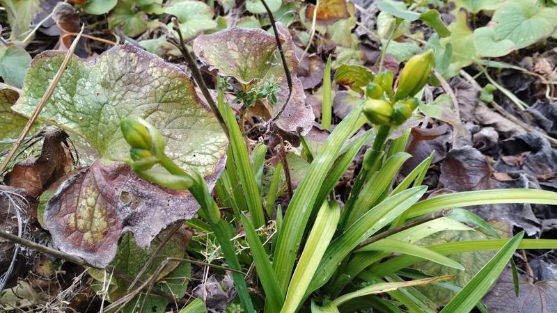 изображение viber 2025 12 17 16 42 46 122