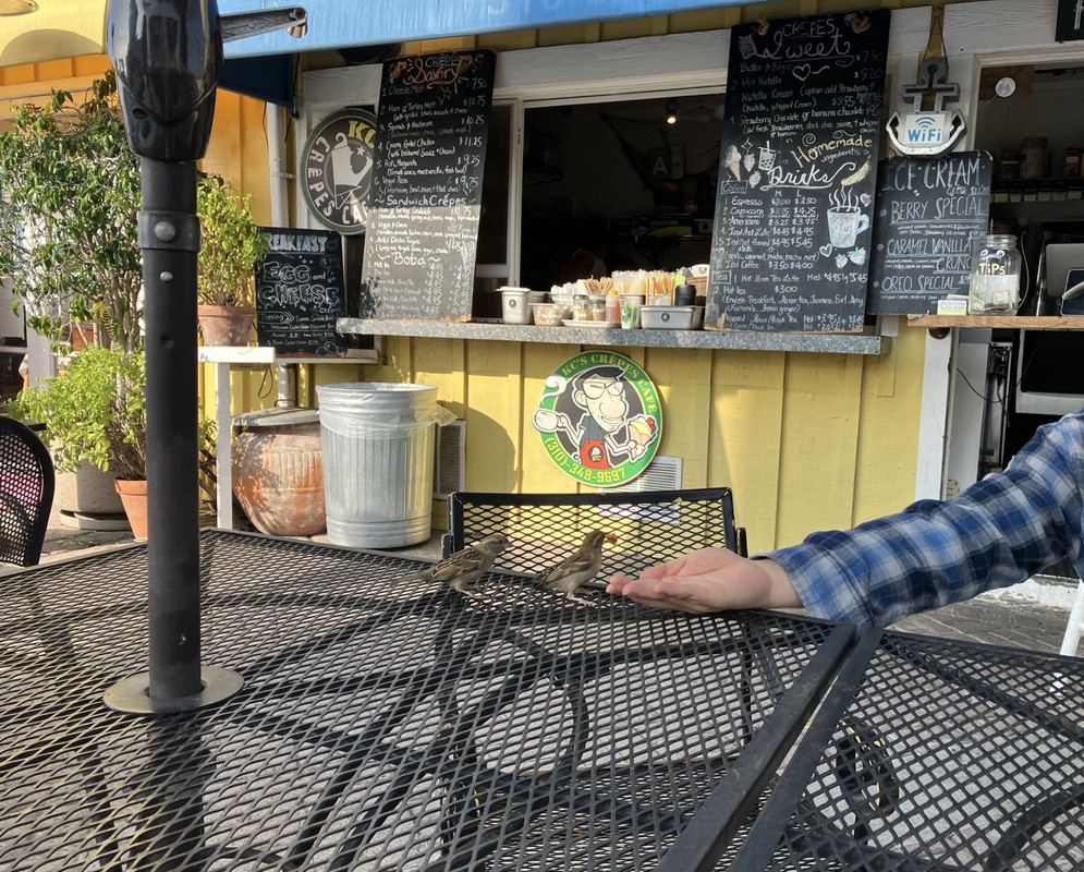 D36DF98F-A74A-4107-9B8D-C9EFA82226CC