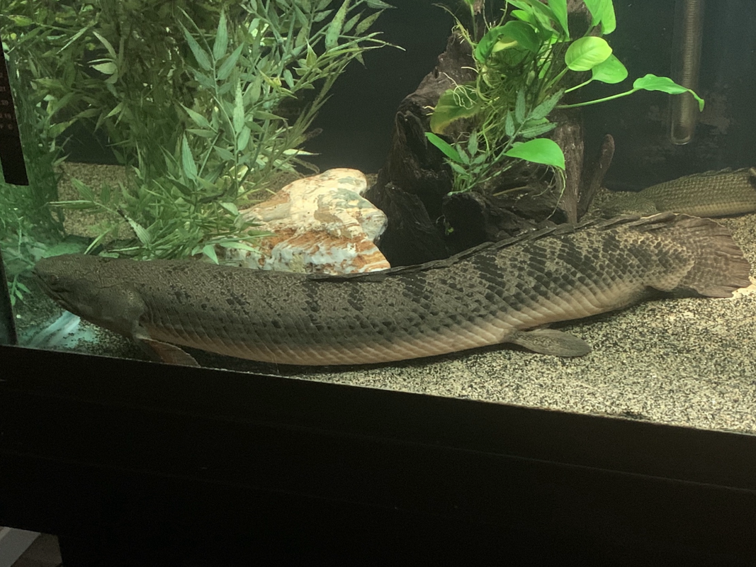 32B68C7E-F281-4269-BEB6-559CF4550679