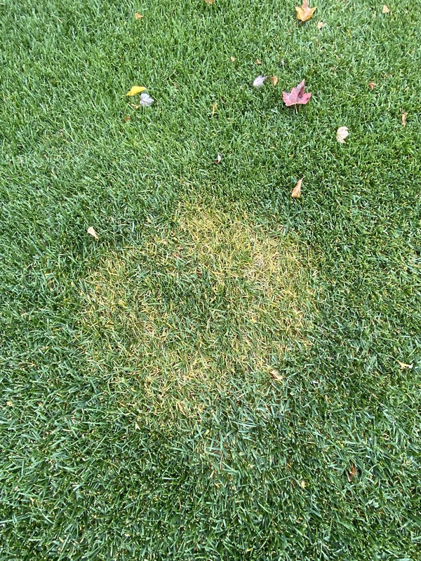 9F829989-05E0-462A-8B03-B3DC7D5E27A9