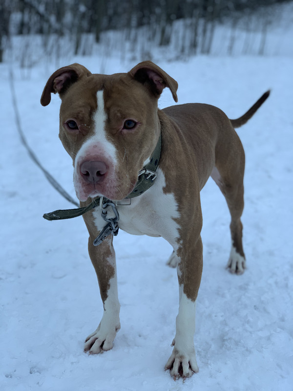 5B554344-AFA1-401F-974D-5EF6D018E854