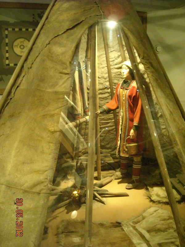 DSCN8010