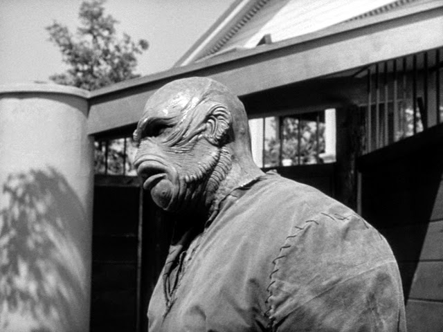 AMONG US REFERENCE (11A)