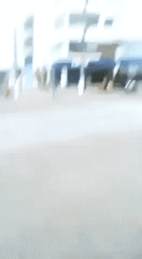559.gif