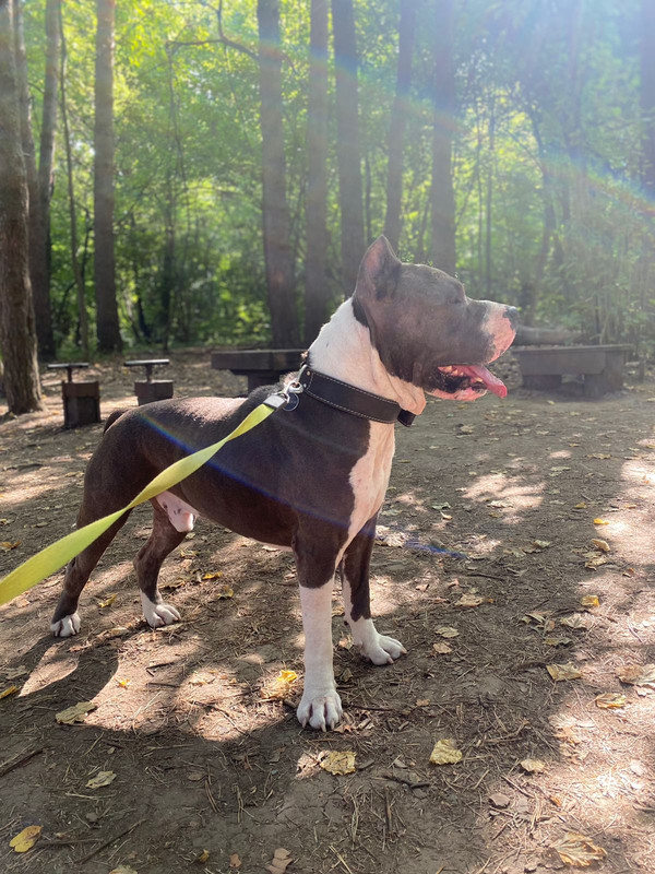 E92B0065-4E01-42CC-970D-DCD1B4EA6E92