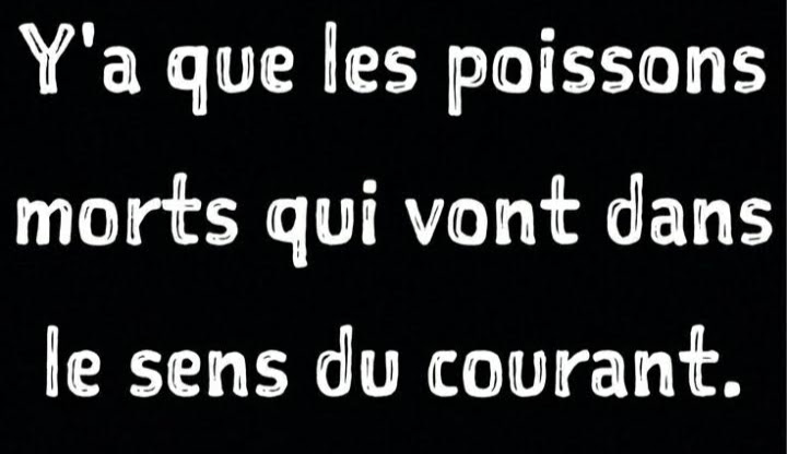 Une citation, une inspiration... Pour apprendre