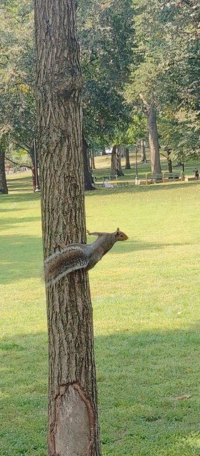 Pateamos Boston: Freedom Trail, Cheers, Mercadillos etc - Boston y Chicago (84)