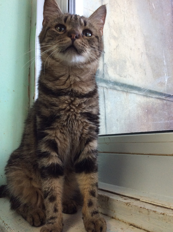 34E1119E-9B30-4139-8EED-B6D24AB7C3C6