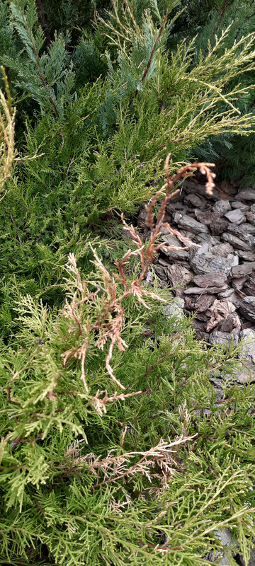 0313E49F-ACC1-43F2-9239-BFFAA7961996