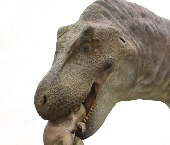 51E73C45-5581-4197-90A2-41358B632FB8