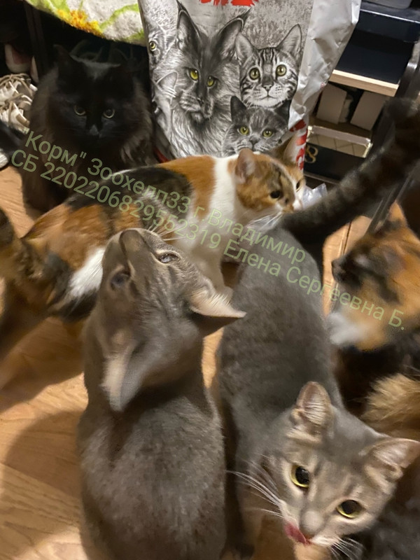 nZSlxBP-liAP758g1hyFKZqVpKm5MdgVxAnk7ovEDLFJHQP65z6k3RB9gC6rSidKkUhpsCQNZXP9FpnQETASEOVu_wm