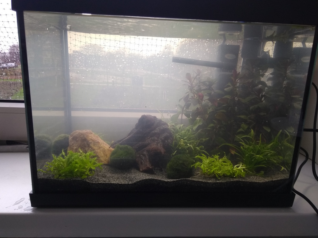 IMG_20181209_112325611