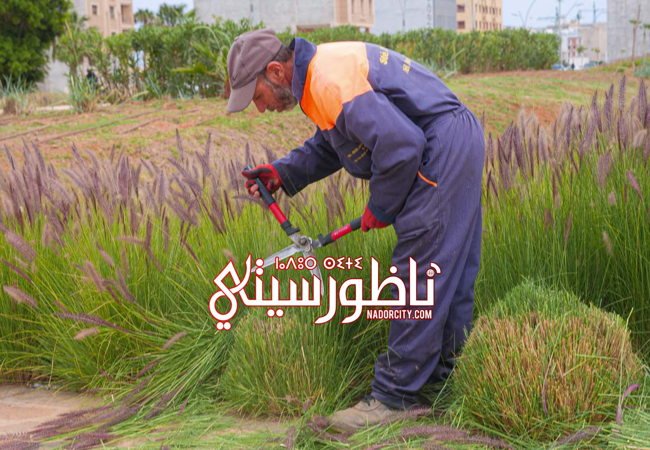 Whats-App-Image-2026-06-05-at-20-05-34-(2)