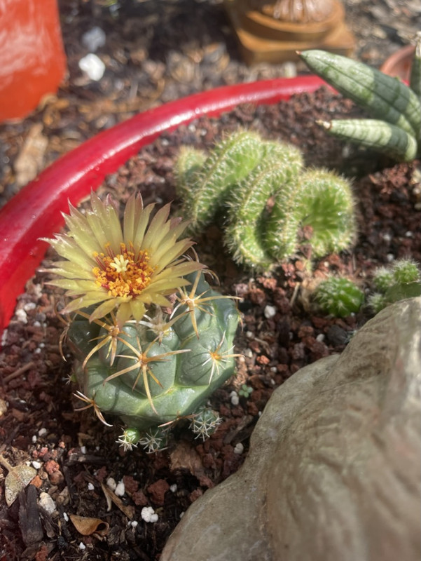 C0A249EA-F17E-4622-AF2C-9D95FD4B6402_1_105_c