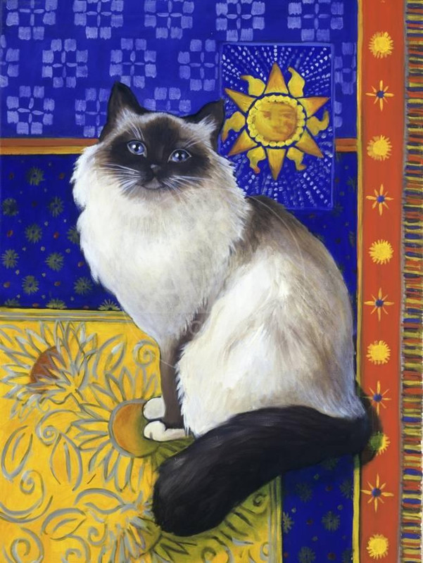 burmese-cat-series-i_u-L-Q1HASCD0