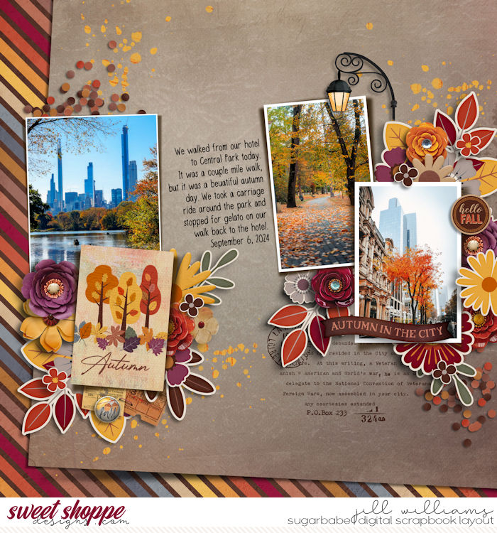 WM-10-2-2025-AUTUMN-AVENUES-BLAGS-PHOTO-TOOLBOX-FDD.jpg