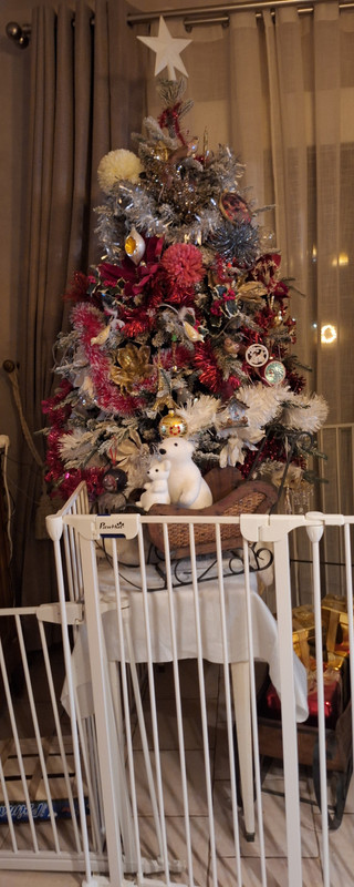 [Image: 20251211-183744.jpg]