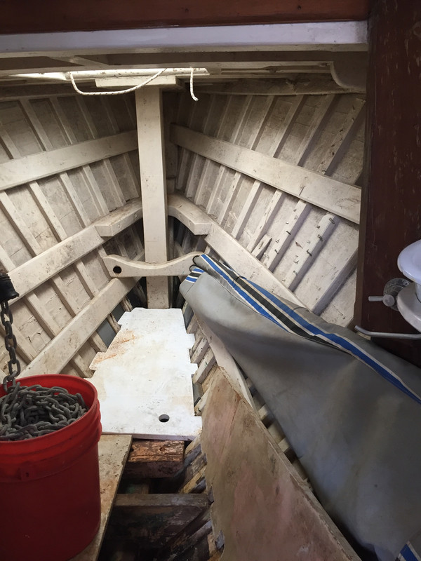 956DEBA3-A55A-4101-9388-8901AA5A9A03