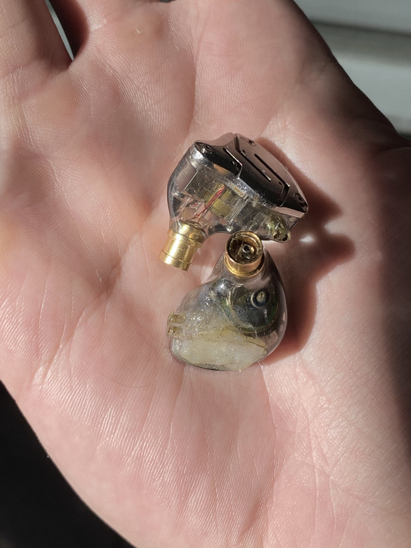 Anon's Biohazardous IEMs