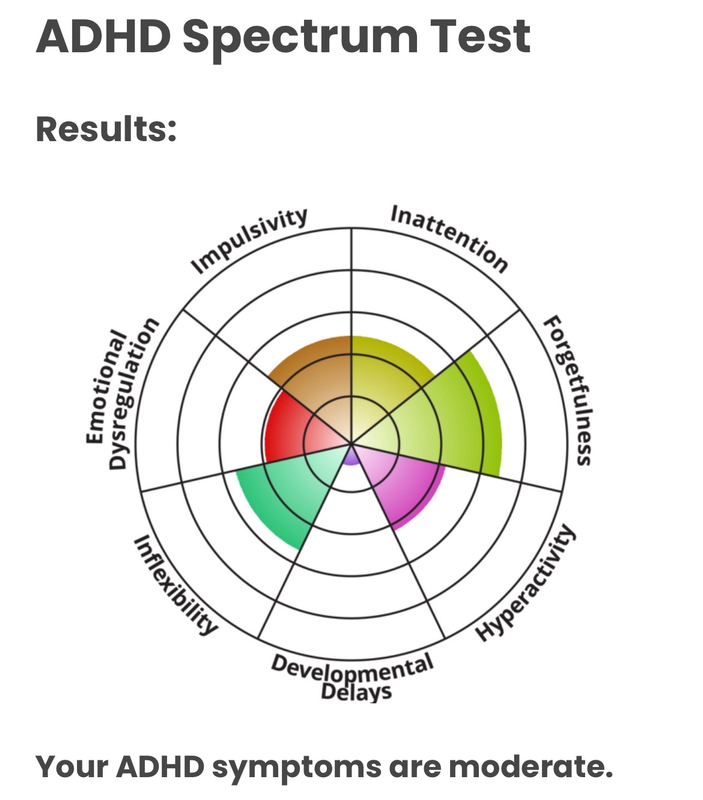 moderate adhd/not diagnosed
