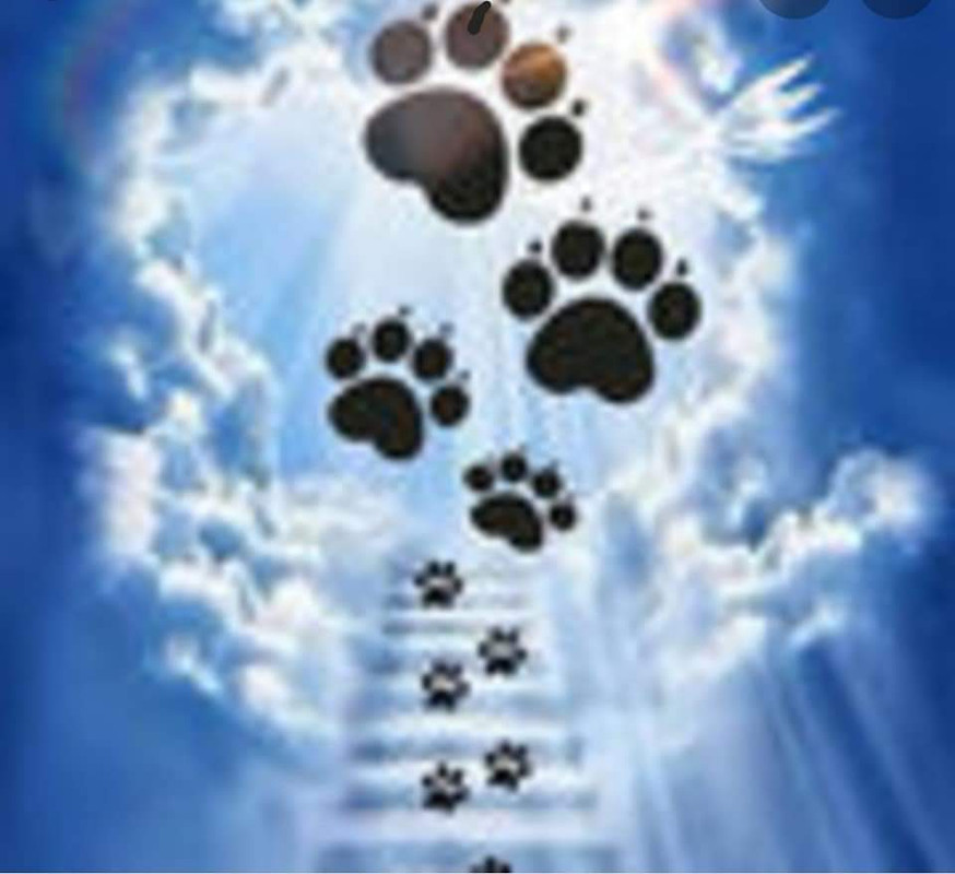 [Image: FB-IMG-1620855241887.jpg]