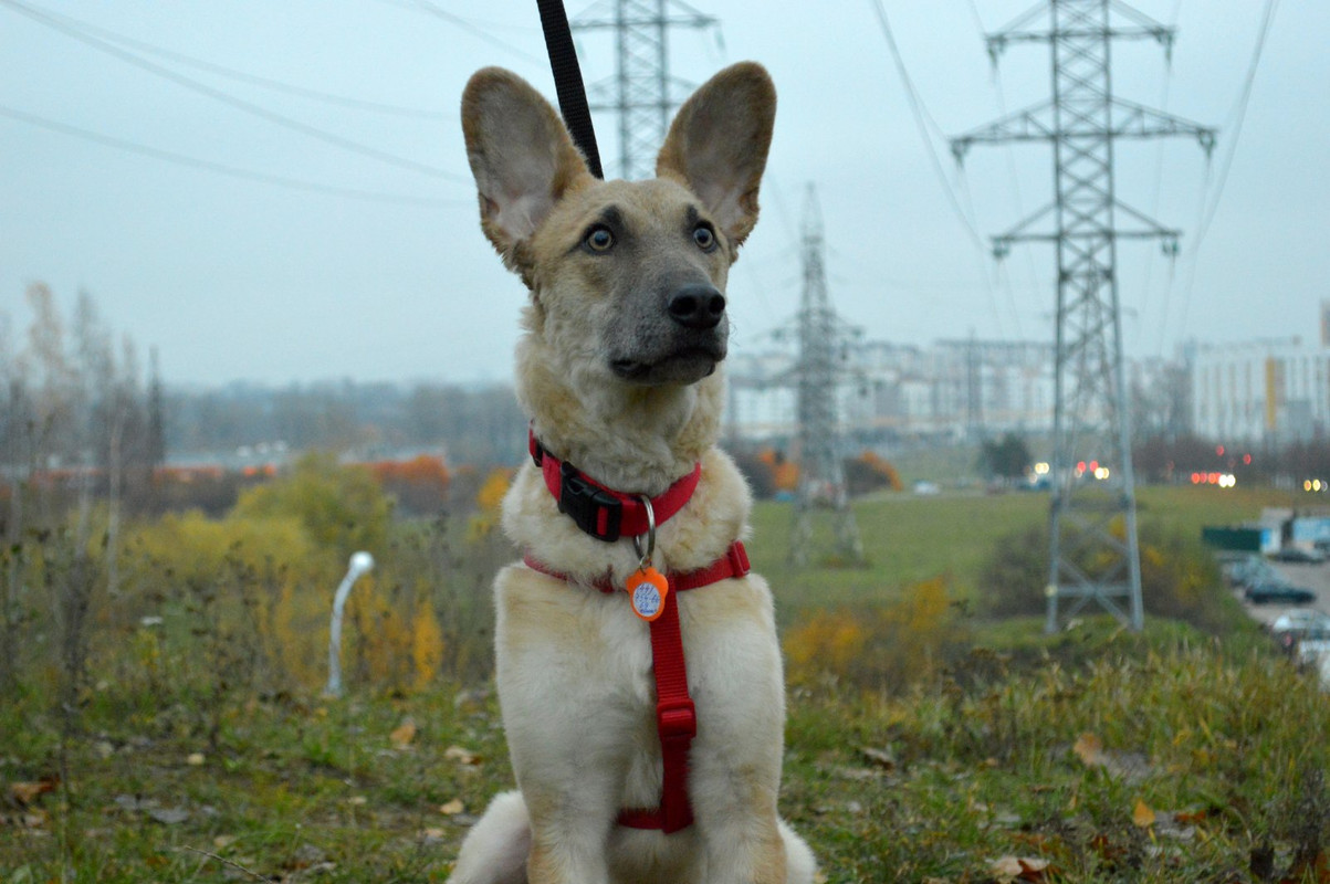 IMG-2c4070d485ab32ba75f661efb44df330-V