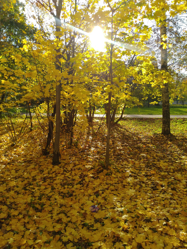 IMG-20231024-111913.jpg
