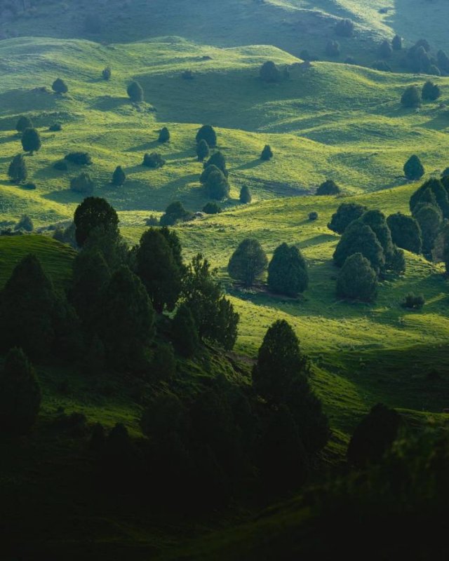 Naturaleza-14