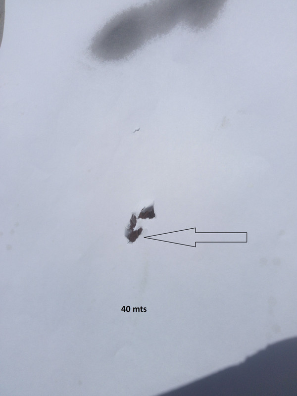 IMG_20210828_112927_587