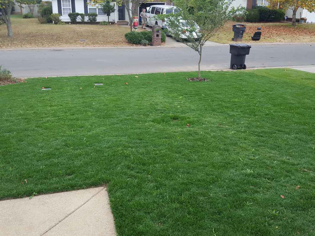 1476982728451-1916801447