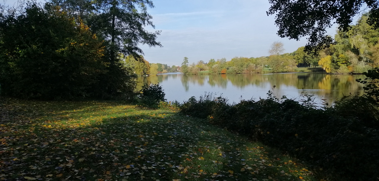 IMG-20221022-103627.jpg