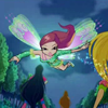 415-FRox-Icon