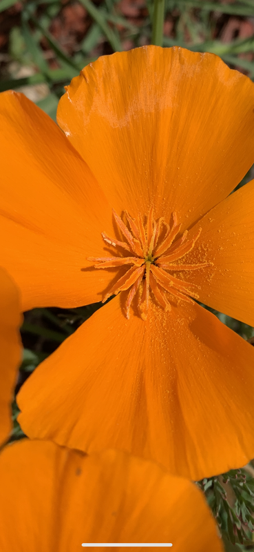 44ADEA65-B0F0-48E3-BE69-3C10A69CA223