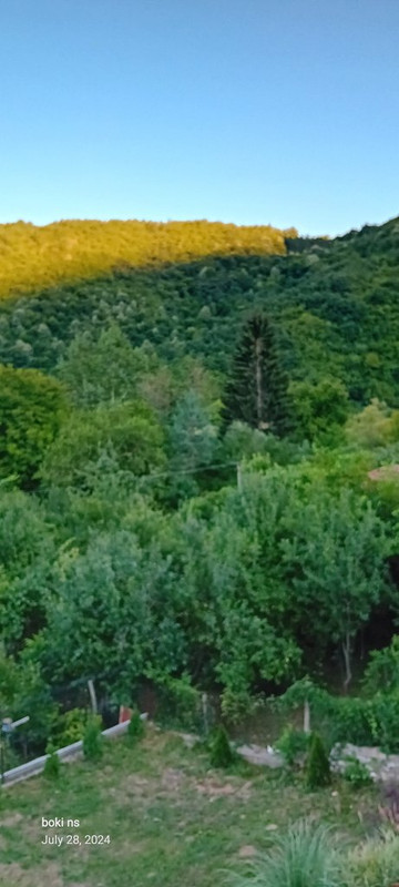 Slika