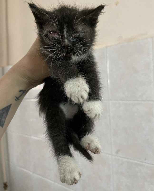 31A2A056-0D33-4D23-937E-CAE63635997F