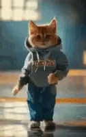 1000019296.gif