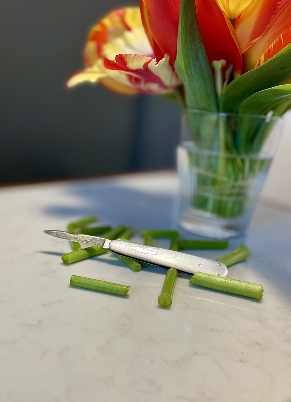 6D68D9F1-3B67-49E1-B664-1FBC4CC0CE9B