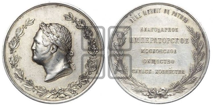 Сер. Моск.СХ