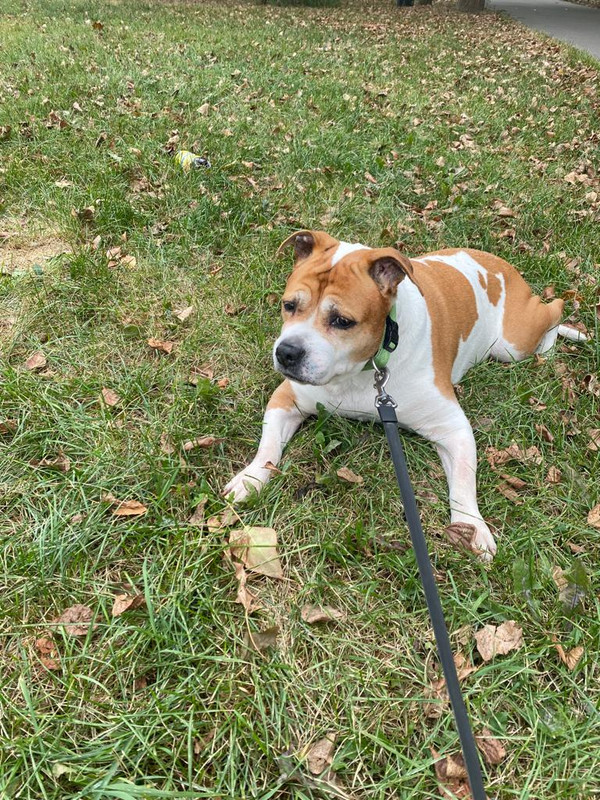 A730A98F-81ED-409B-9263-098A7867B054