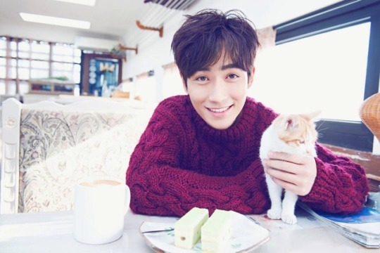 zyl_sweater_cat_tumblr_pi5yb9TEvc1v2haoy_540