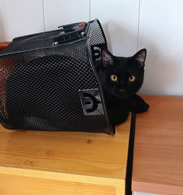 IMG-20251009-WA0001~2