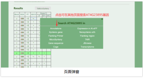 BRAD:十字花科植物基因组资源综合数据库-7.png